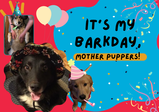 Digital Birthday card for dogs!